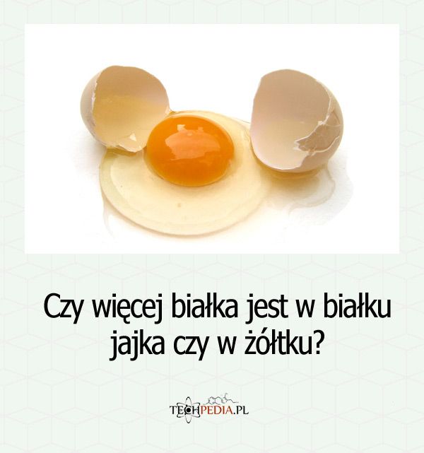 Więcej białka jest w białku jajka czy w żółtku?