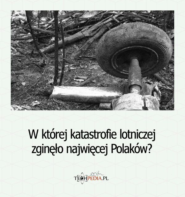 W której katastrofie lotniczej zginęło najwięcej Polaków?