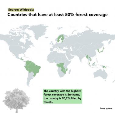 Kraje o co najmniej 50% zalesieniu