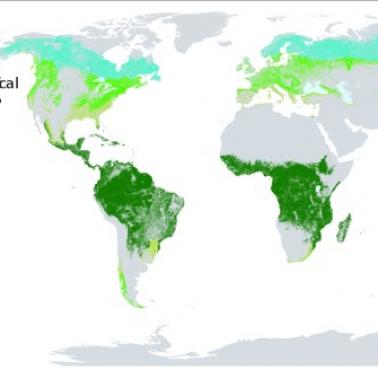 Procent i rozmieszczenie powierzchni leśnej według klimatu, 2020/2021