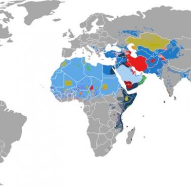 Świat islamu z podziałem na szyitów i sunnitów oraz inne odłamy
