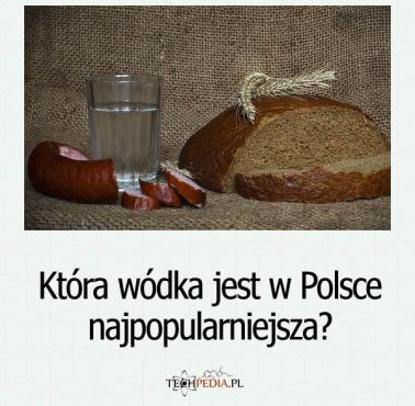 Która wódka jest w Polsce najpopularniejsza?