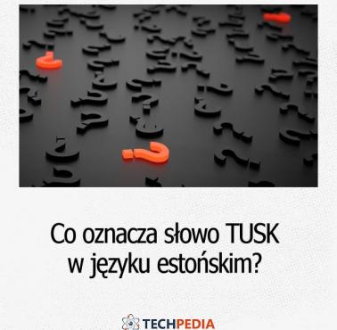 Co oznacza słowo tusk w języku estońskim?