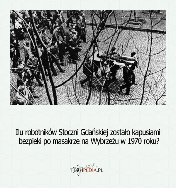 Ilu robotników Stoczni Gdańskiej zostało kapusiami bezpieki po masakrze na Wybrzeżu w 1970 roku?