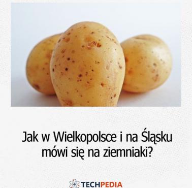 Jak w Wielkopolsce i na Śląsku mówi się na ziemniaki?
