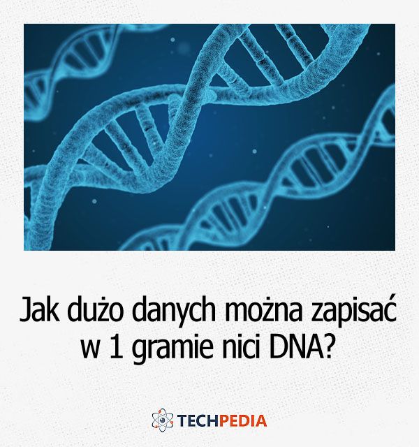 Jak dużo danych można zapisać w 1 gramie nici DNA?