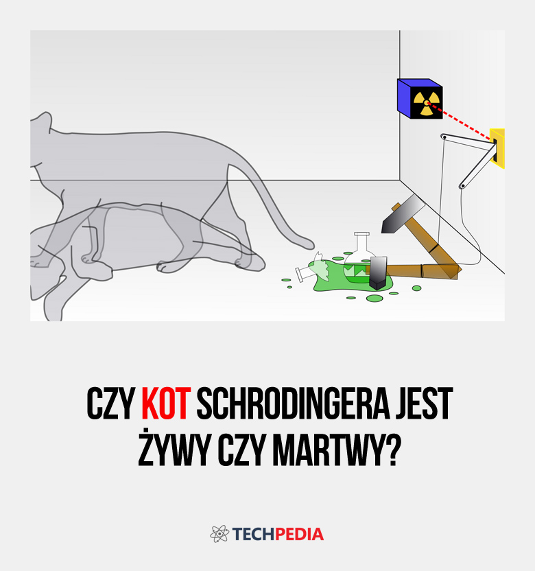 Czy kot Schrodingera jest żywy czy martwy?