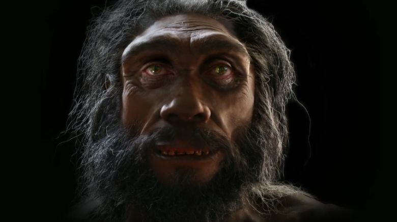 Ewolucja twarzy człowieka na przestrzeni 6 mln lat (wideo HD)