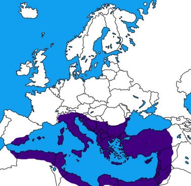 Cesarstwo Bizantyjskie ok. 555 rok n.e