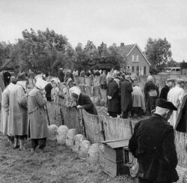 Pszczeli targ, Holandia, 1956