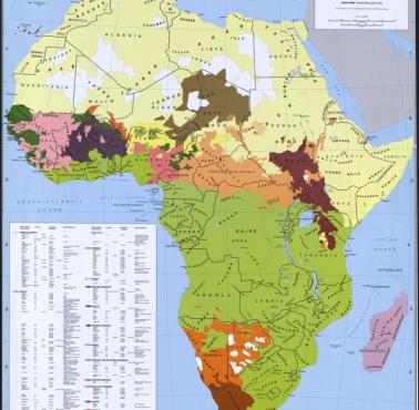 Mapa lingwistyczna Afryki, dane 1990