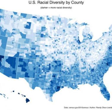 Różnorodność rasowa w USA
