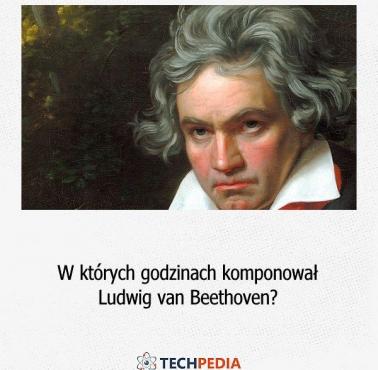 W których godzinach komponował Ludwig van Beethoven?
