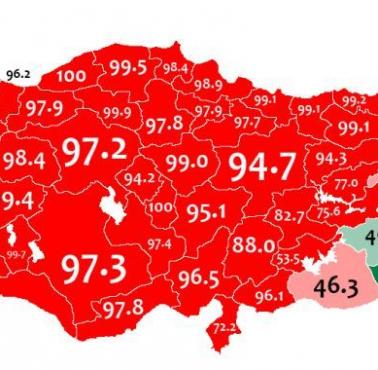 Język turecki w Turcji według spisu ludności z 1965 r.