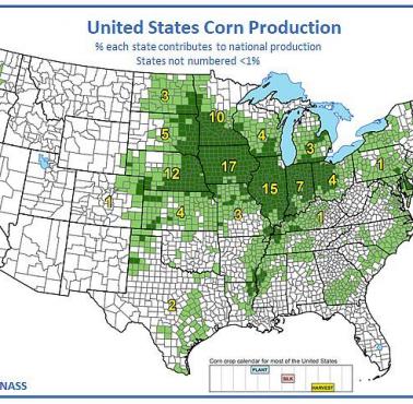 Obszary upraw kukurydzy w USA