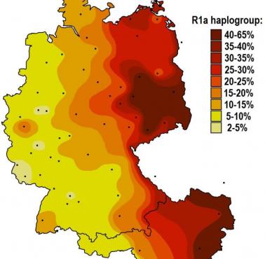 Występowanie dominującej u Słowian haplogrupy R1a1 (Y-DNA) w Niemczech