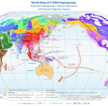 Przybliżone rozmieszczenie haplogrup Y-DNA na świecie