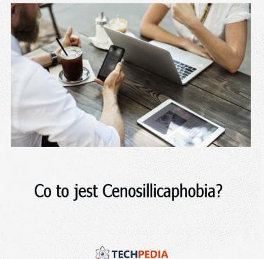 Co to jest Cenosillicaphobia?