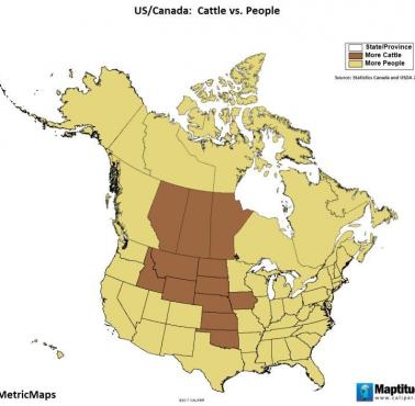 W których amerykańskich stanach i regionach Kanady jest więcej bydła niż ludzi