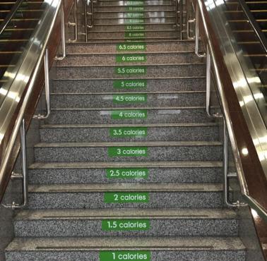 Dlaczego warto chodzić po schodach? Każdy stopień to konkretna ilość spalonych kalorii