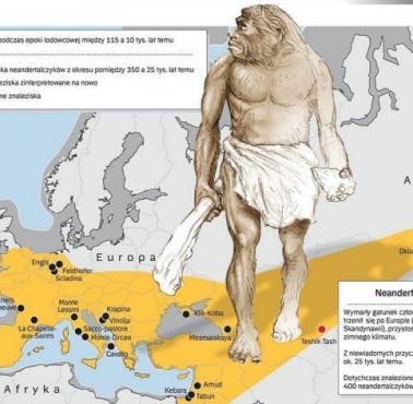 Dlaczego neandertalczycy wymarli?