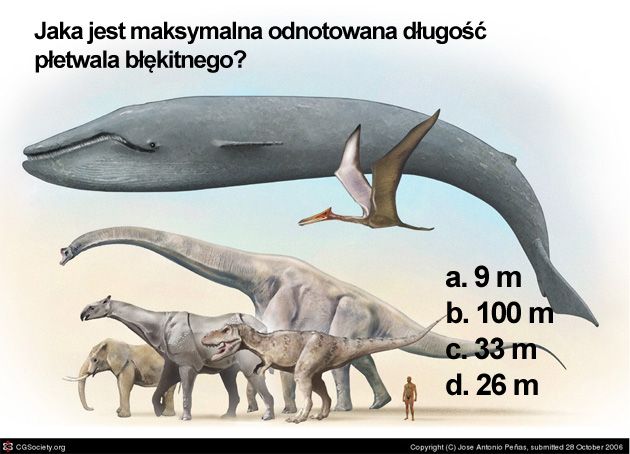 Jaką długość może osiągnąć płetwal błękitny?