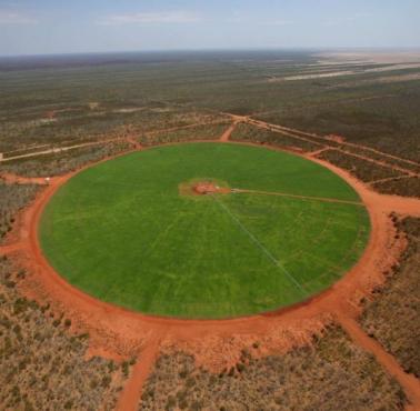 Oaza dla bydła na australijskiej pustyni. Woda pozyskiwana jest z podziemnych warst