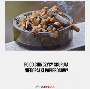 Po co Chińczycy skupują niedopałki papierosów?