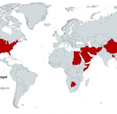 W których krajach w 2021 roku wykonano karę śmierci (egzekucję)?