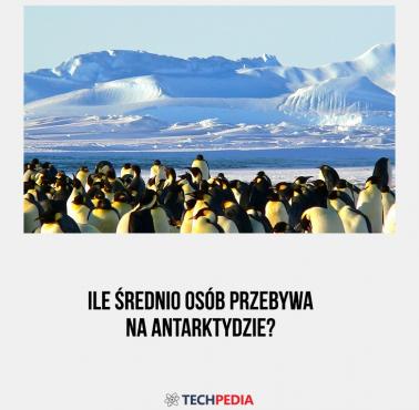 Ile średnio osób przebywa na Antarktydzie?
