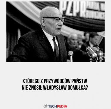 Którego z przywódców państw nie znosił Władysław Gomułka?