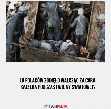Ilu Polaków zginęło walcząc za cara i kajzera podczas I wojny światowej?