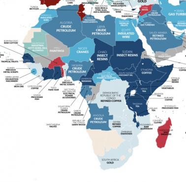 Co Brytyjczycy importują z Afryki i Bliskiego Wschodu