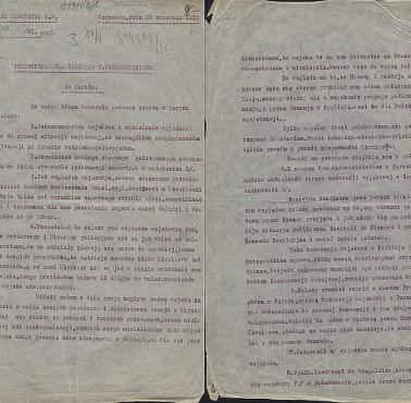 Instrukcja dla gen. Tadeusza Rozwadowskiego - szefa Polskiej Misji Wojskowej w Paryżu, 1919
