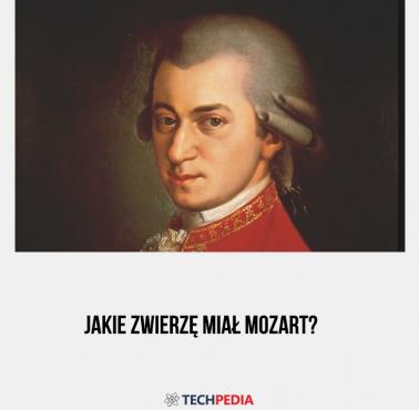 Jakie zwierzę miał Mozart?
