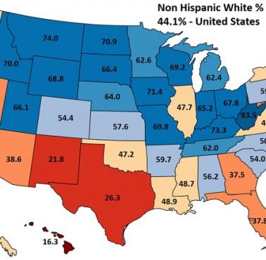 Biali Amerykanie w poszczególnych stanach, prognoza na 2064 rok