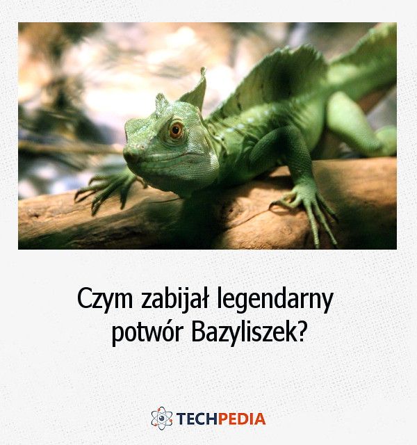 Czym zabijał legendarny potwór Bazyliszek?