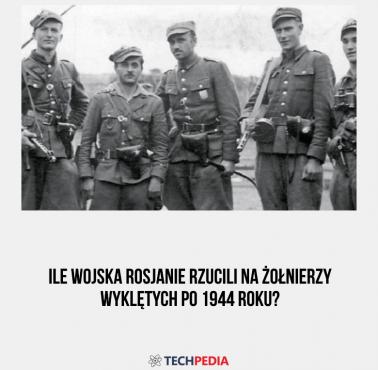 Ile wojska Rosjanie rzucili na Żołnierzy Wyklętych po 1944 roku?