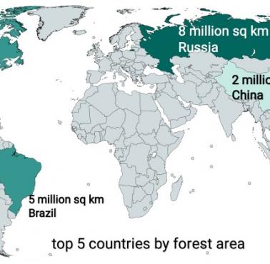 Top 5 krajów według obszarów leśnych