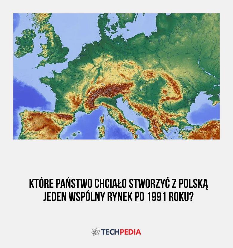 Które państwo chciało stworzyć z Polską jeden wspólny rynek po 1991 roku?