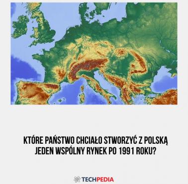 Które państwo chciało stworzyć z Polską jeden wspólny rynek po 1991 roku?