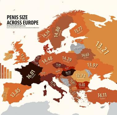 Średnie długości penisa w Europie