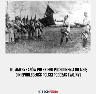 Ilu Amerykanów polskiego pochodzenia biła się o niepodległość Polski podczas I wojny?