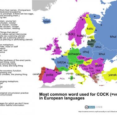 Słowo "chuj" w różnych europejskich językach (wraz z etymologią)