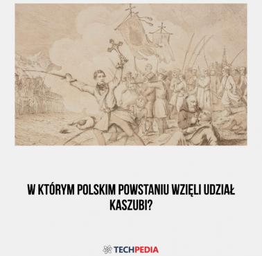W którym polskim powstaniu wzięli udział Kaszubi?