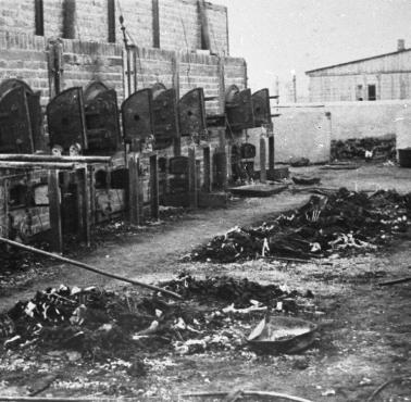 W latach 1940-45 Niemcy zamordowali w Auschwitz co najmniej 1,1 mln osób, w tym ok. 960 tys. Żydów, 70-75 tys. Polaków, 21 tys.
