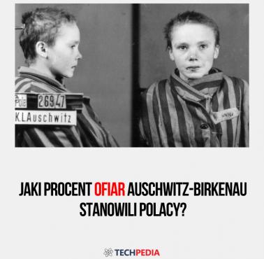 Jaki procent ofiar Auschwitz-Birkenau stanowili Polacy?