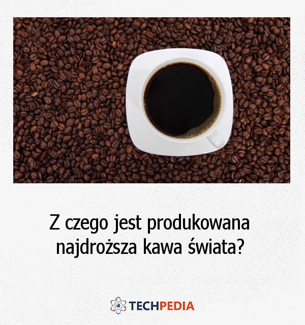 Z czego jest produkowana najdroższa kawa świata?