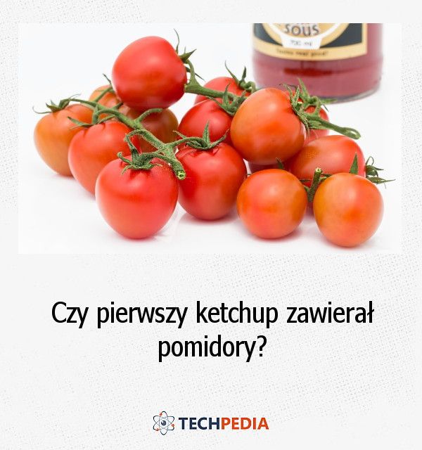 Czy pierwszy ketchup zawierał pomidory?