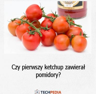 Czy pierwszy ketchup zawierał pomidory?
